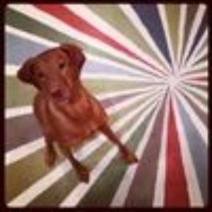 Meet your Posher, Lief